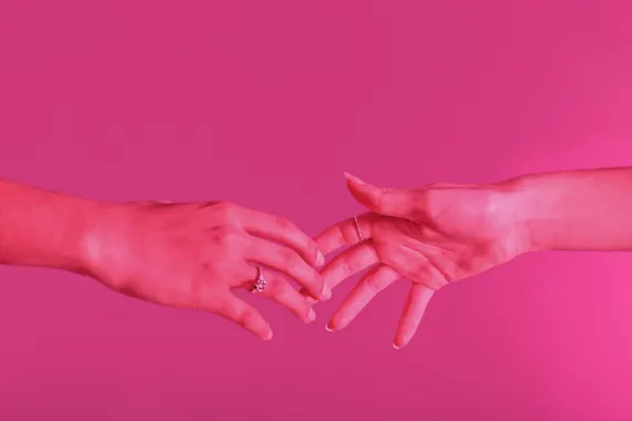 Rex Cazino Cazinou Suport